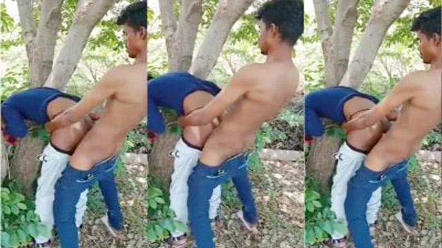 Cousin Sister Cam Sex – Tree Hard Video